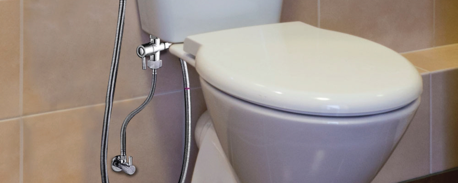 Toilet Seat and Bidet